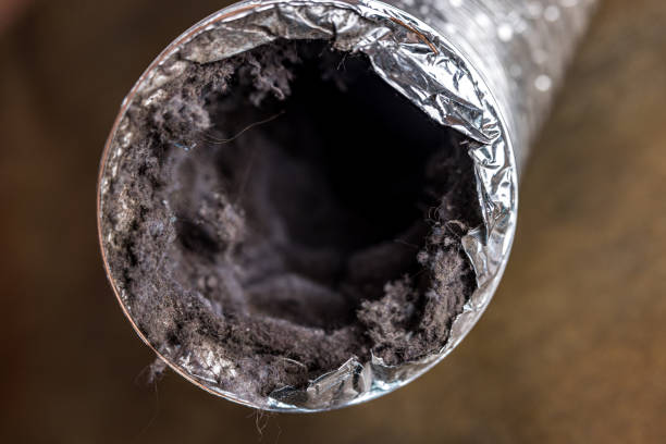 Best HVAC Duct Inspection Services  in La Salle, CO